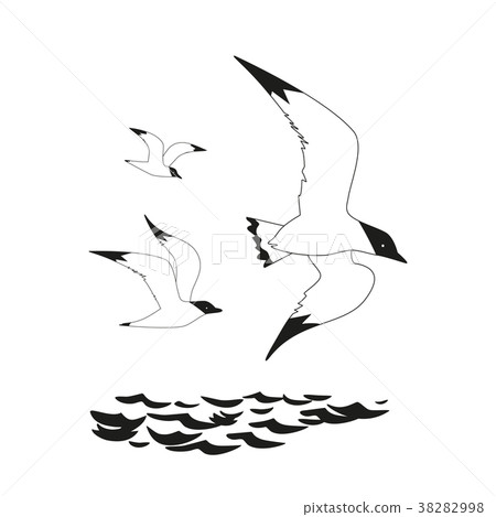 Seagull flight icon 38282998