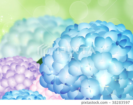 hydrangea hydrangea 38283597