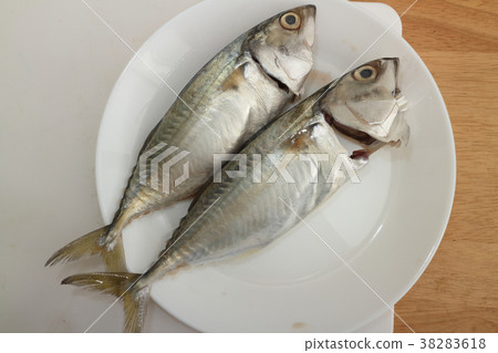 sea fish sea fish 38283618