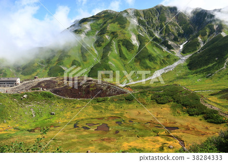 A group of rockfish in Tateyama Murodo A group of rockfish in Tateyama Murodo 38284333