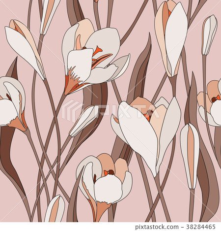 Floral seamless pattern. Flower crocus background. Floral seamless pattern. Flower crocus background. 38284465