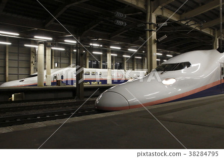 E4 Shinkansen "Max Tokigo" stopping at Echigo Yuzawa Station 38284795