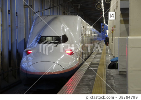 E4 Shinkansen "Max Tokigo" stopping at Echigo Yuzawa Station 38284799