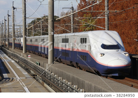 Joetsu Shinkansen E4 series with autumn leaves back (Toki color 16-car train) Joetsu Shinkansen E4 series with autumn leaves back (Toki color 16-car train) 38284950