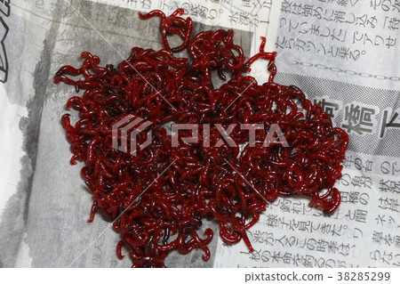 Red beetle Red beetle 38285299