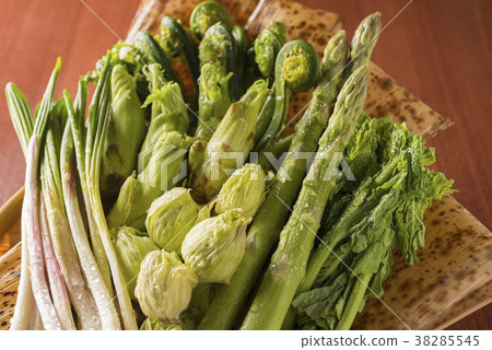 Delicious wild vegetables in spring 38285545