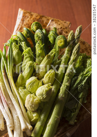 可口野菜在春天 38285547