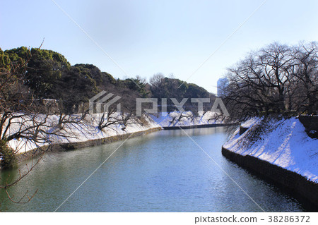 Chidorigafuchi of snow Chidorigafuchi of snow 38286372