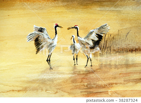Tanzen Tsuru Kushiro Wetland Courtship couple 38287324