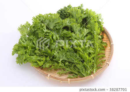 芥末綠色 38287701