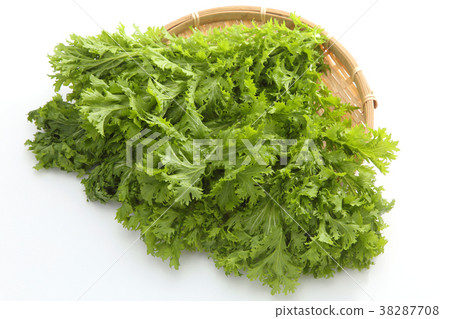 芥末綠色 38287708