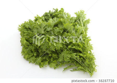 芥末綠色 38287710