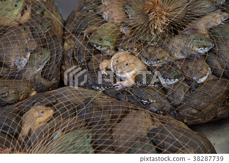 Khlong Toei market 38287739