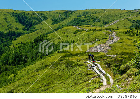Mountain trail to North Alps, Tarohei 38287880