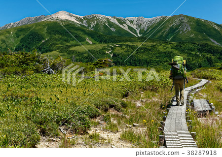 Mountain climbers who go to Tarohei and Northern Alps, Yakushidake 38287918
