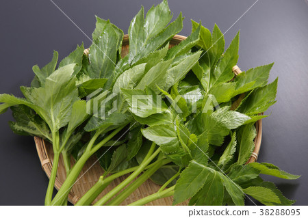 明天離開 明天離開 38288095