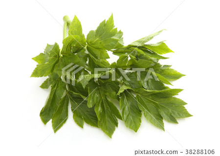 明天離開 明天離開 38288106