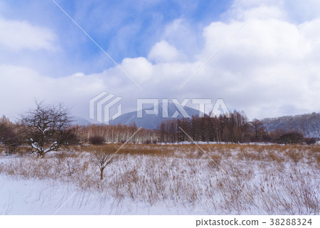 Oku日光風景 38288324
