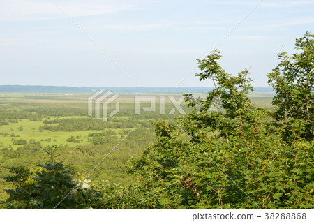 Kushiro Wetland (Hokkaido) 38288868