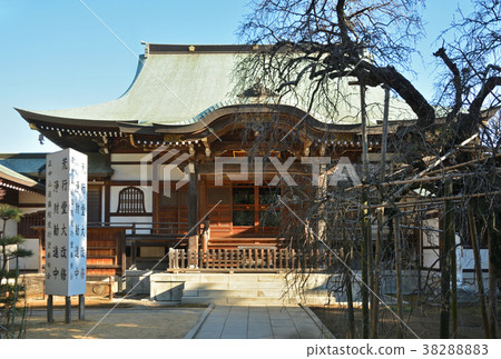 Shimousanakayama walk: Ensu-in Shimousanakayama walk: Ensu-in 38288883