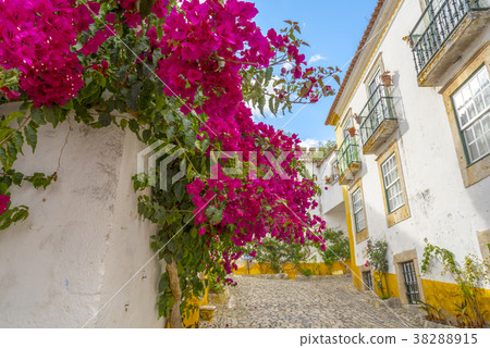 The landscape of Obidos 38288915