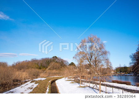 Ageo Maruyama Park snow scene Kanto area heavy snow Ageo Maruyama Park snow scene Kanto area heavy snow 38289364