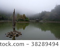 宜蘭 明池-4, Ming Chi Forest Recreation Area 38289494