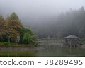 宜蘭 明池-5, Ming Chi Forest Recreation Area 38289495