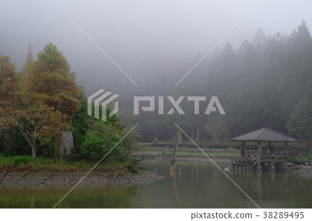 宜蘭 明池-5, Ming Chi Forest Recreation Area 38289495