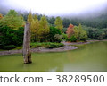 宜蘭 明池-10, Ming Chi Forest Recreation Area 38289500