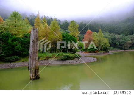 宜蘭 明池-10, Ming Chi Forest Recreation Area 38289500