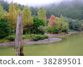 宜蘭 明池-11, Ming Chi Forest Recreation Area 38289501