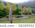 宜蘭 明池-12, Ming Chi Forest Recreation Area 38289502
