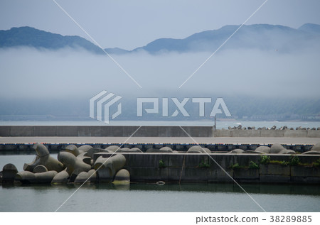Landscape of the embankment 38289885