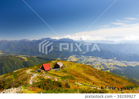 Hakuba Happo-one's Fall Leaves / Hakuba Village, Nagano Prefecture 38289927