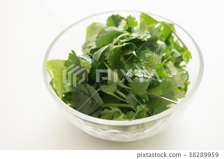 香菜 38289959