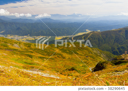 Hakuba Happo-one的秋葉/長野縣白馬村 Hakuba Happo-one的秋葉/長野縣白馬村 38290645