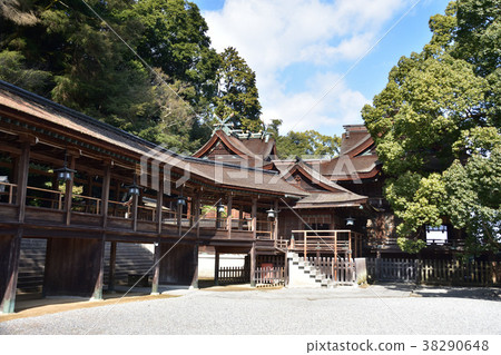 琴平神社的禮拜堂/主殿 38290648