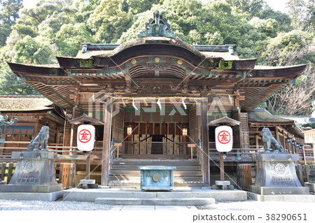 Miho Tsuhime Shrine hall of Kompira-gu Shrine 38290651