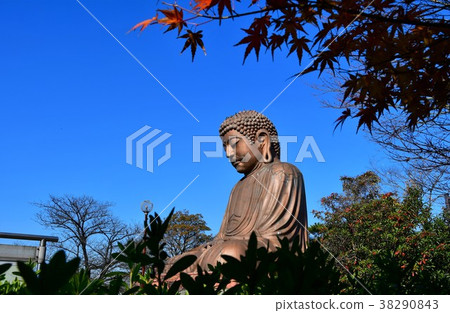 Burakuen Buddha and autumn leaves Burakuen Buddha and autumn leaves 38290843