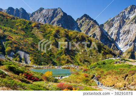 Hakuba Happo-one's Autumn Leaves / Happo Pond / Hakuba Village,Nagano Prefecture Hakuba Happo-one's Autumn Leaves / Happo Pond / Hakuba Village,Nagano Prefecture 38291078