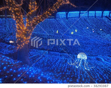 Sagami Lake Irmillion The Sea of Light Sagami Lake Irmillion The Sea of Light 38291087