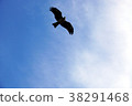 Sky and kimono 38291468
