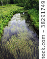 Oze Joppi River 38291749