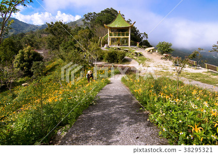 太麻里金針山 太麻里金針山 38295321