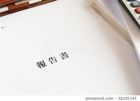 報告業務範圍原因調查文件事實關係公平教育 38295345