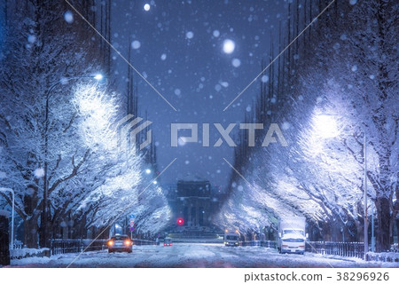 2018年1月22日東京最強冷天氣當天的明治神宮 38296926