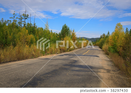 closeup of trail through colorful autumn forest closeup of trail through colorful autumn forest 38297430