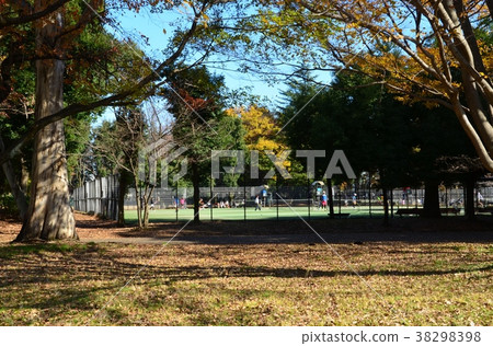 Tennis court  38298398