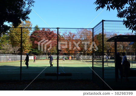 Tennis court  38298399